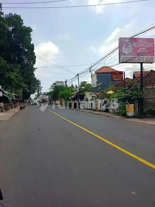 Tanah 40 Are di Pusat Lovina Jarak Jalan Kaki ke Pantai Buleleng Bali