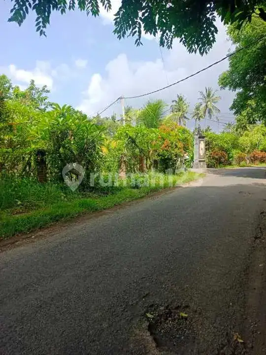 Tanah 40 Are di Pusat Lovina Jarak Jalan Kaki ke Pantai Buleleng Bali