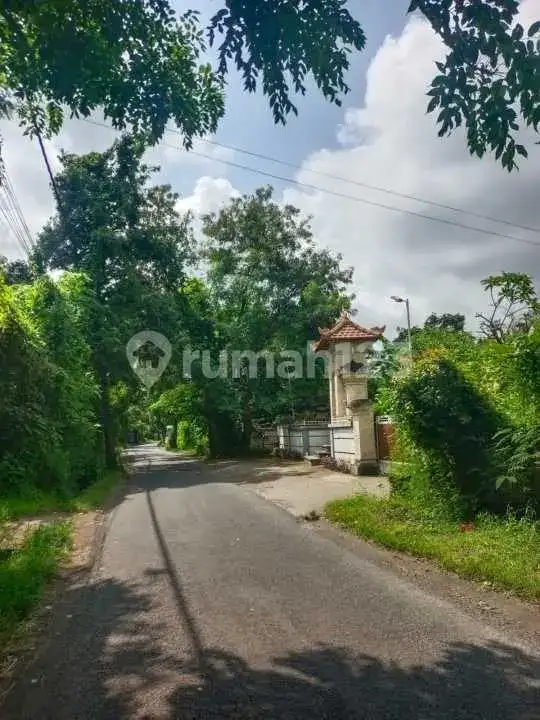 Tanah 40 Are di Pusat Lovina Jarak Jalan Kaki ke Pantai Buleleng Bali