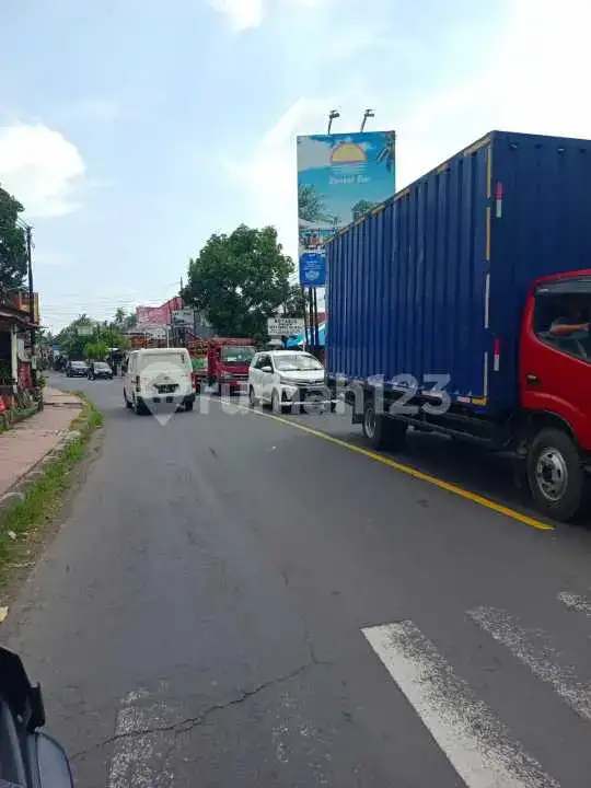 Tanah 40 Are di Pusat Lovina Jarak Jalan Kaki ke Pantai Buleleng Bali