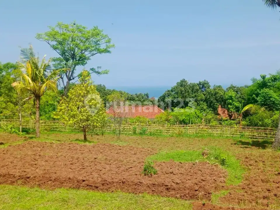 Tanah Datar 10 Are dengan View Laut dan Akses Bagus di Lovina Buleleng Bali