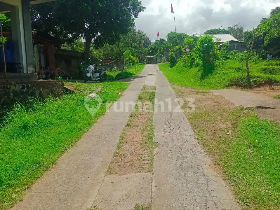 Tanah Datar 10 Are dengan View Laut dan Akses Bagus di Lovina Buleleng Bali