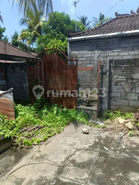 Rumah Lokal 3 Menit ke Pantai di Lovina Buleleng Bali