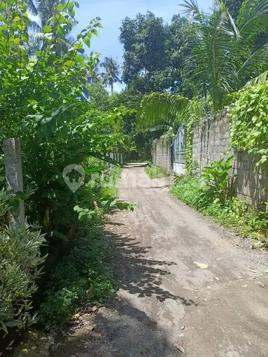 Rumah Lokal 3 Menit ke Pantai di Lovina Buleleng Bali