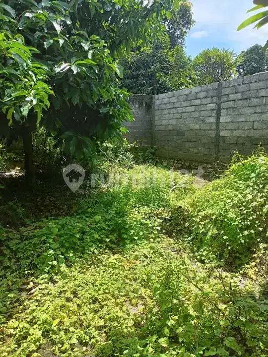 Rumah Lokal 3 Menit ke Pantai di Lovina Buleleng Bali
