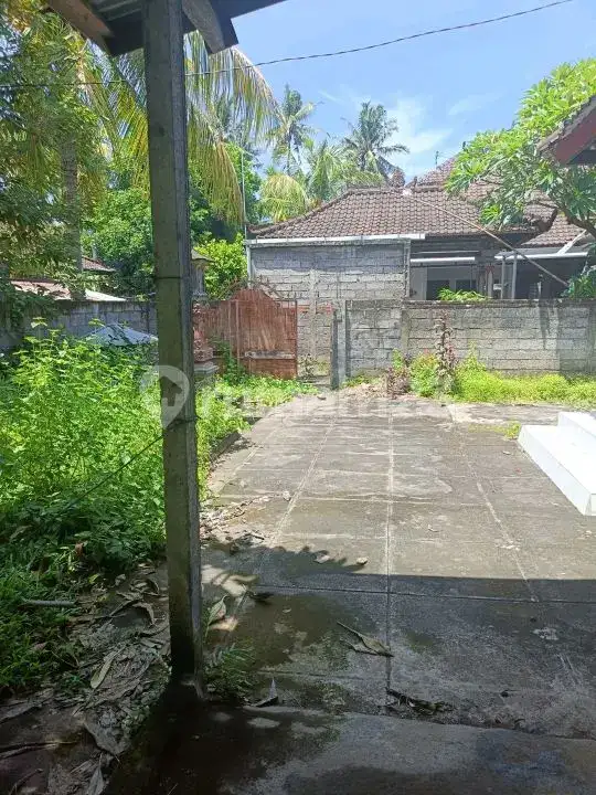 Rumah Lokal 3 Menit ke Pantai di Lovina Buleleng Bali