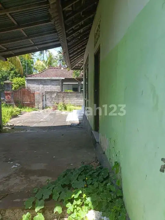 Rumah Lokal 3 Menit ke Pantai di Lovina Buleleng Bali