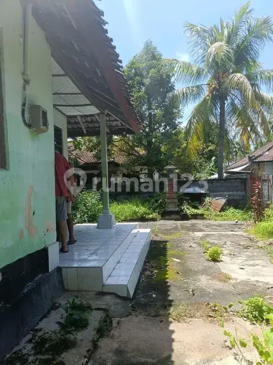 Rumah Lokal 3 Menit ke Pantai di Lovina Buleleng Bali
