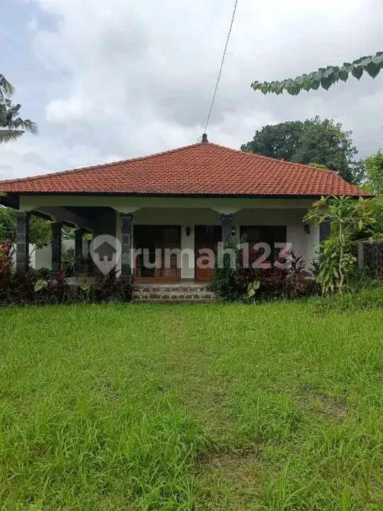 Semi Villa 2 Kamar Tidur dengan View Sawah di Kawasan Resort Lovina Buleleng Bali