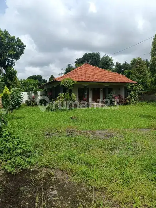Semi Villa 2 Kamar Tidur dengan View Sawah di Kawasan Resort Lovina Buleleng Bali