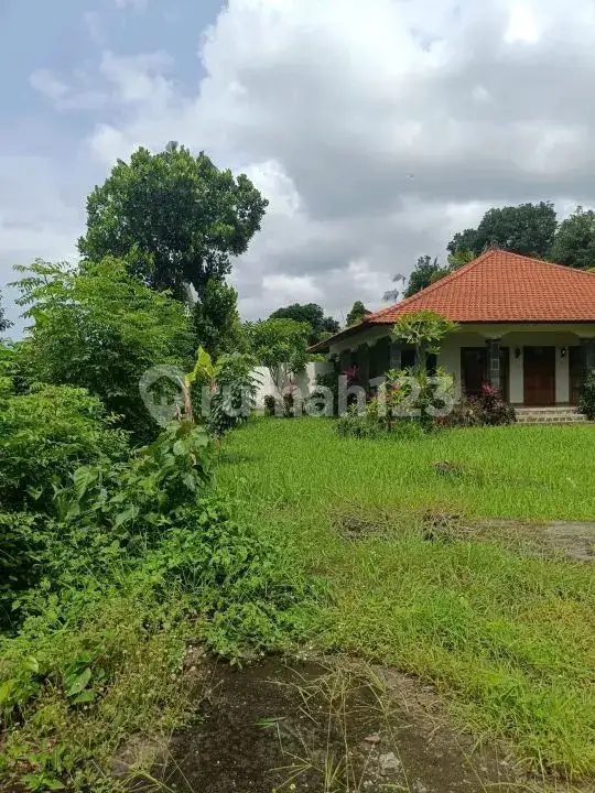 Semi Villa 2 Kamar Tidur dengan View Sawah di Kawasan Resort Lovina Buleleng Bali