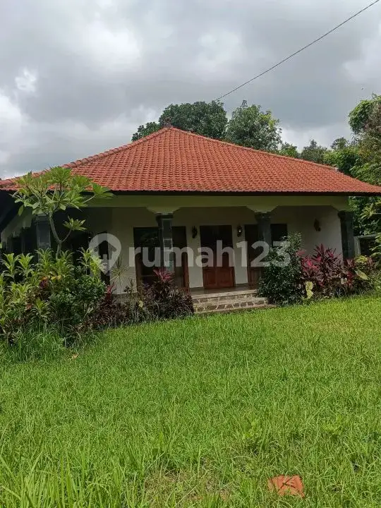 Semi Villa 2 Kamar Tidur dengan View Sawah di Kawasan Resort Lovina Buleleng Bali