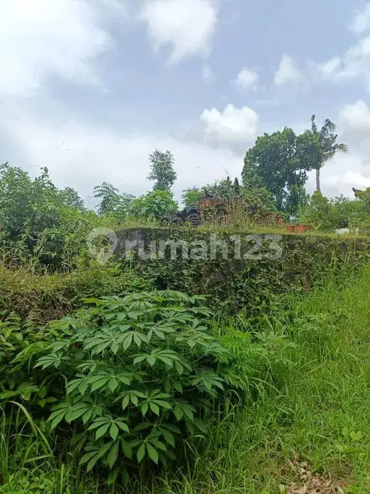 Semi Villa 2 Kamar Tidur dengan View Sawah di Kawasan Resort Lovina Buleleng Bali