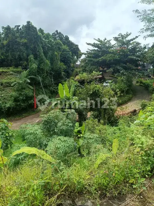 Semi Villa 2 Kamar Tidur dengan View Sawah di Kawasan Resort Lovina Buleleng Bali