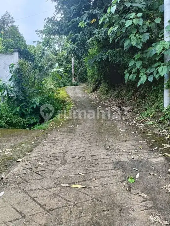 Semi Villa 2 Kamar Tidur dengan View Sawah di Kawasan Resort Lovina Buleleng Bali