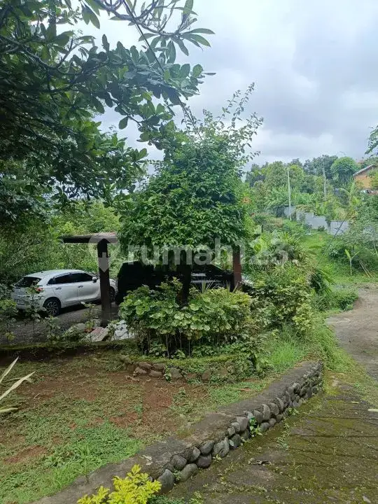 Semi Villa 2 Kamar Tidur dengan View Sawah di Kawasan Resort Lovina Buleleng Bali