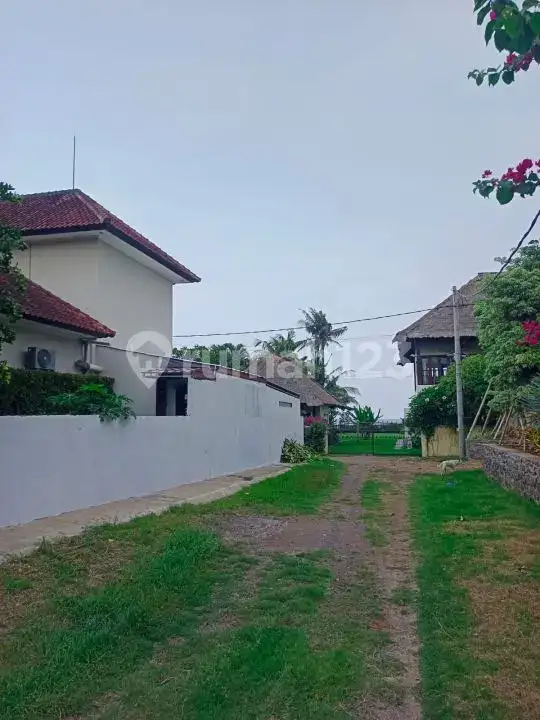 Tanah 12,5 Are Jarak 100 Meter ke Pantai di Lovina Buleleng Bali