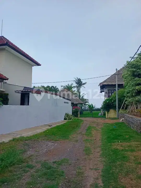 Tanah 12,5 Are Jarak 100 Meter ke Pantai di Lovina Buleleng Bali