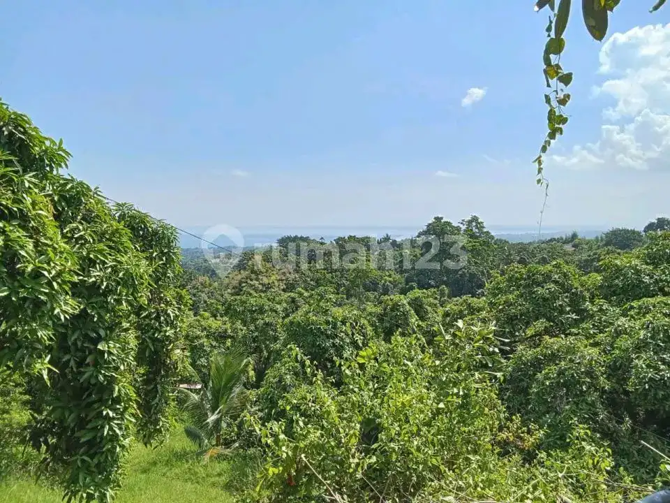 Bangunan Bekas Restoran dengan Rencana Hotel 3 Lantai di Perbukitan Lovina Buleleng Bali