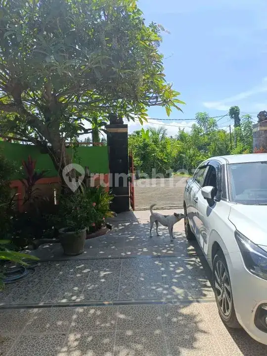 Villa 3 Kamar Tidur Jarak Jalan Kaki ke Pantai dengan View Bukit dan Sawah di Lovina Bali