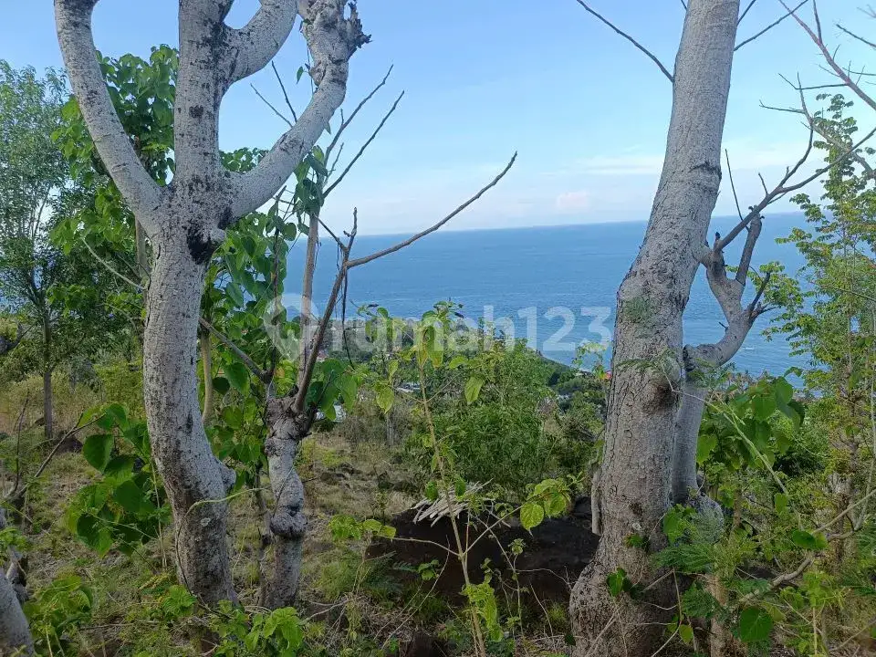Tanah View Laut 23,8 Are di Perbukitan Amed Karangasem Bali