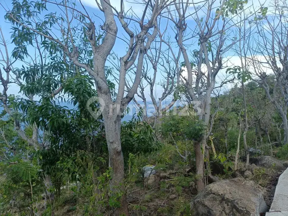 Tanah View Laut 23,8 Are di Perbukitan Amed Karangasem Bali