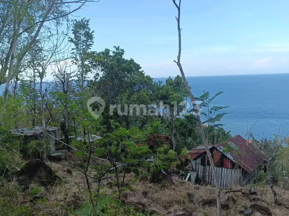 Tanah View Laut 23,8 Are di Perbukitan Amed Karangasem Bali