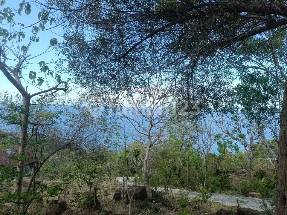 Tanah View Laut 23,8 Are di Perbukitan Amed Karangasem Bali