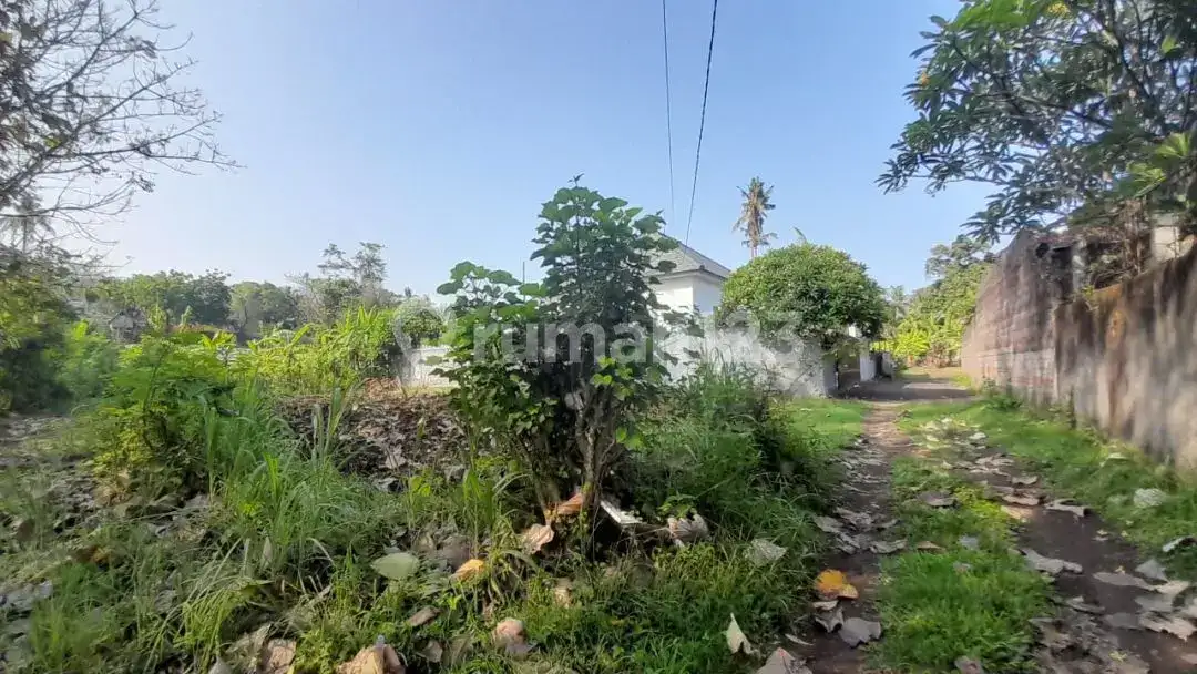 Tanah 3 Are di Kawasan Villa Dekat Pantai Lovina Buleleng Bali