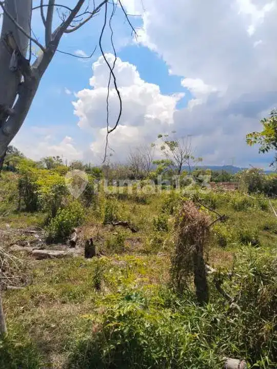 Tanah 9 Are Jarak 400 Meter ke Pantai di Temukus Seririt Buleleng Bali