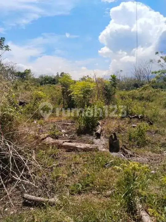 Tanah 9 Are Jarak 400 Meter ke Pantai di Temukus Seririt Buleleng Bali