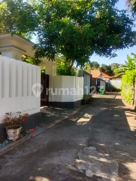 Tanah Premium Dekat Pusat Lovina di Kawasan Villa Buleleng Bali