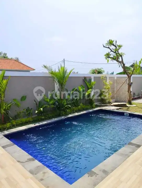 Villa Baru 3 Kamar Tidur dengan View Sawah di Lovina Buleleng Bali