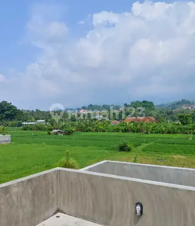 Villa Baru 3 Kamar Tidur dengan View Sawah di Lovina Buleleng Bali