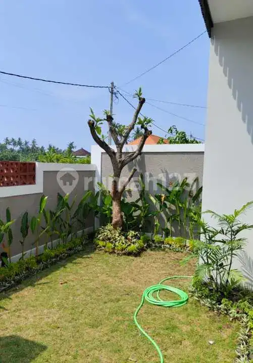 Villa Baru 3 Kamar Tidur dengan View Sawah di Lovina Buleleng Bali