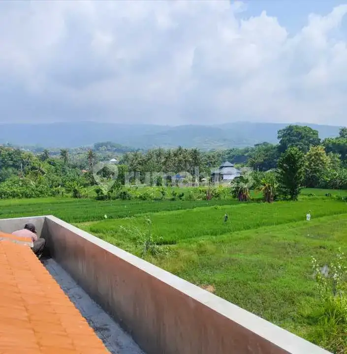 Villa Baru 3 Kamar Tidur dengan View Sawah di Lovina Buleleng Bali