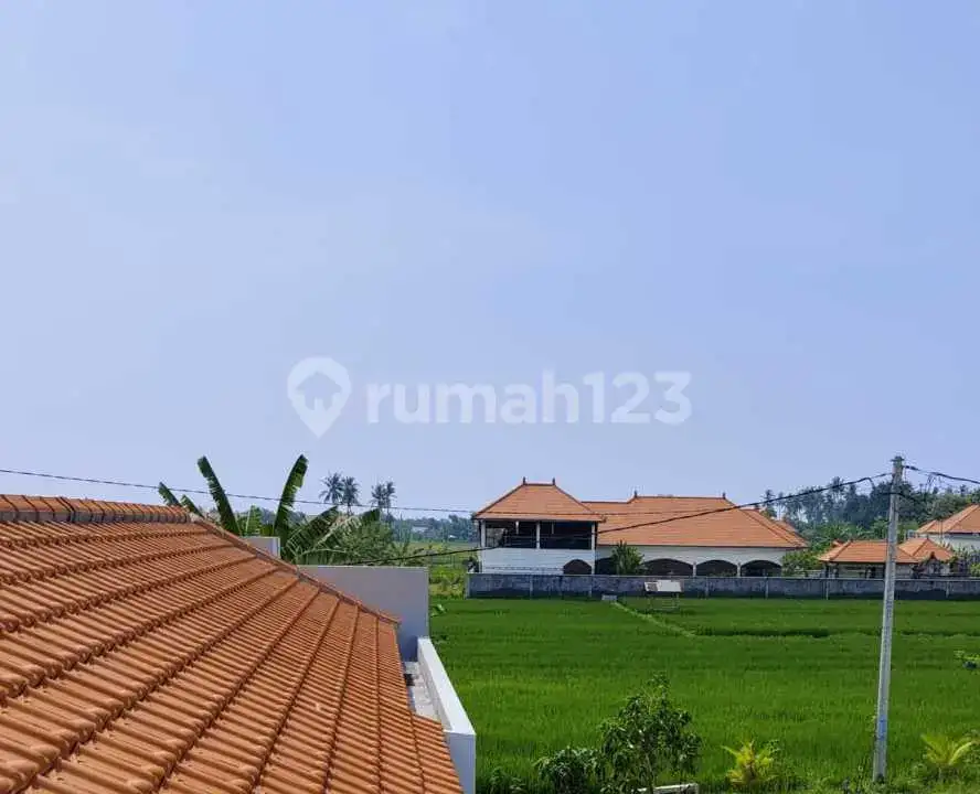 Villa Baru 3 Kamar Tidur dengan View Sawah di Lovina Buleleng Bali