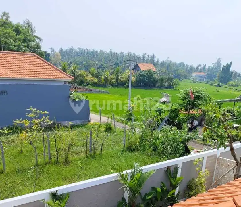 Villa Baru 3 Kamar Tidur dengan View Sawah di Lovina Buleleng Bali