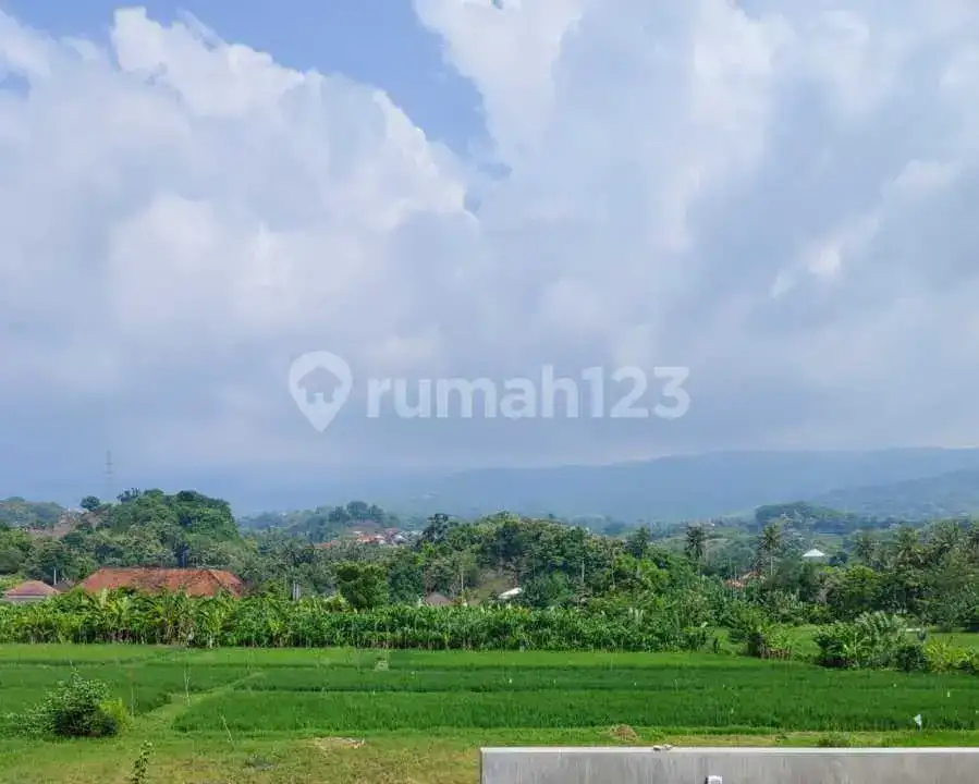 Villa Baru 3 Kamar Tidur dengan View Sawah di Lovina Buleleng Bali