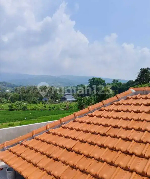 Villa Baru 3 Kamar Tidur dengan View Sawah di Lovina Buleleng Bali