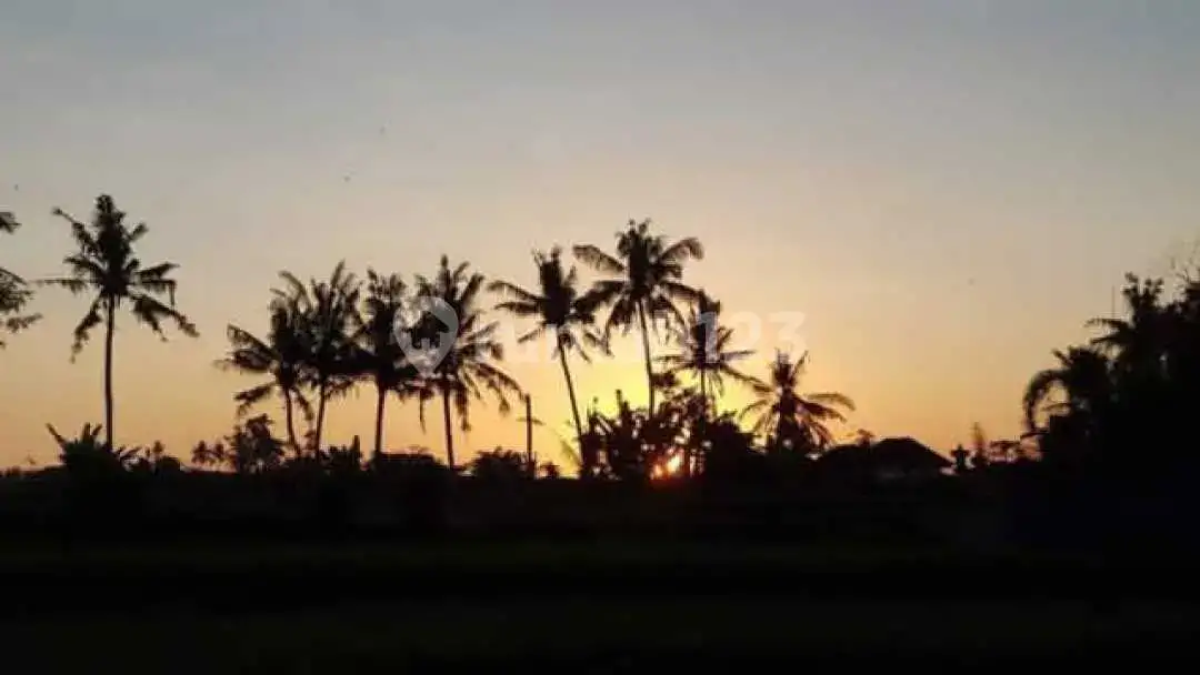 Villa dengan 3 Unit Homestay Berpenghasilan di Kaliasem Dekat Pusat Lovina Bali