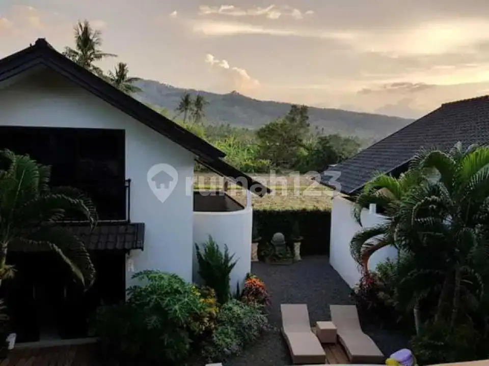 Villa dengan 3 Unit Homestay Berpenghasilan di Kaliasem Dekat Pusat Lovina Bali