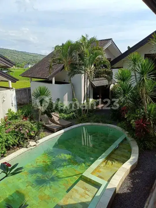 Villa dengan 3 Unit Homestay Berpenghasilan di Kaliasem Dekat Pusat Lovina Bali