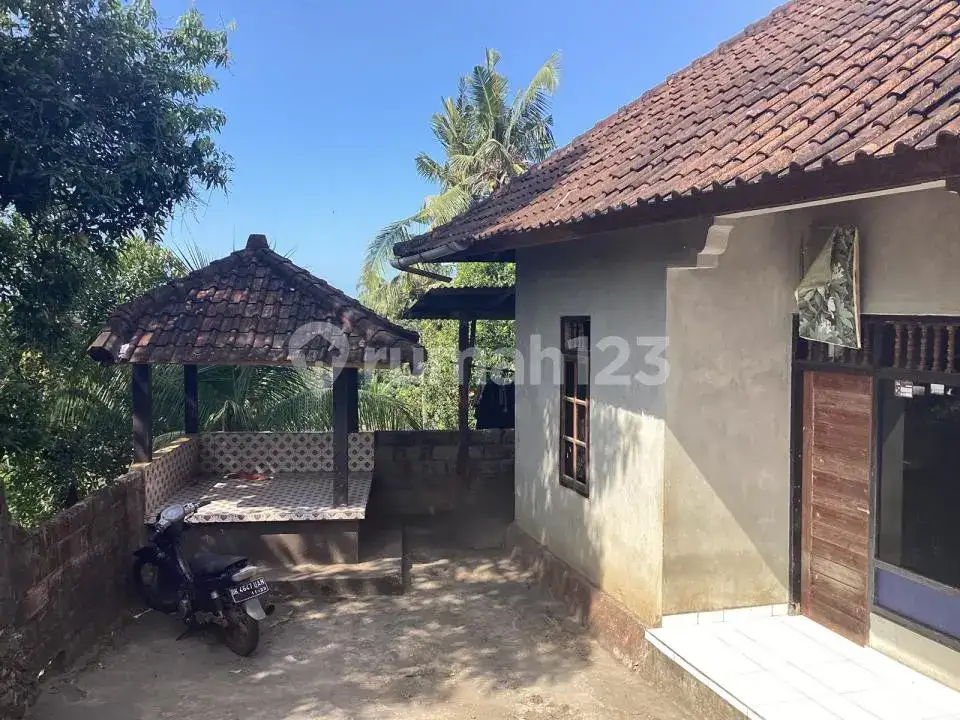 Rumah dengan Tanah Luas dan View Laut di Kayuputih Lovina Buleleng Bali