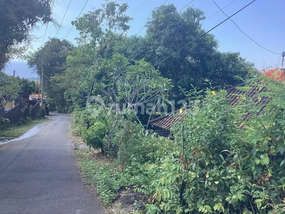 Rumah dengan Tanah Luas dan View Laut di Kayuputih Lovina Buleleng Bali