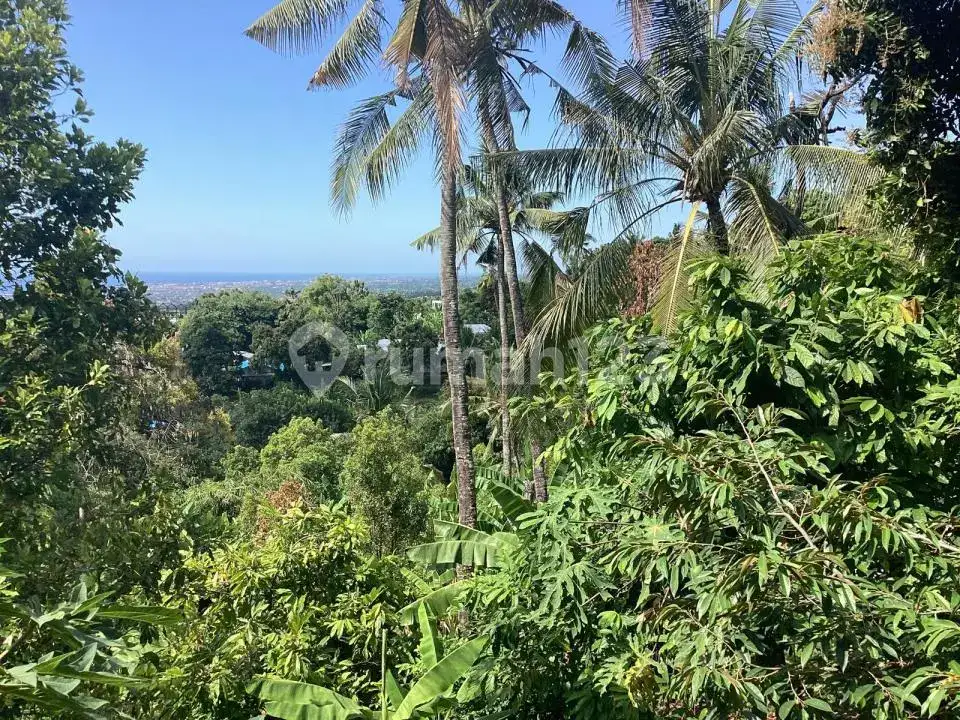 Rumah dengan Tanah Luas dan View Laut di Kayuputih Lovina Buleleng Bali