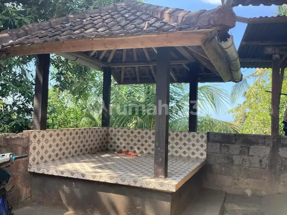 Rumah dengan Tanah Luas dan View Laut di Kayuputih Lovina Buleleng Bali