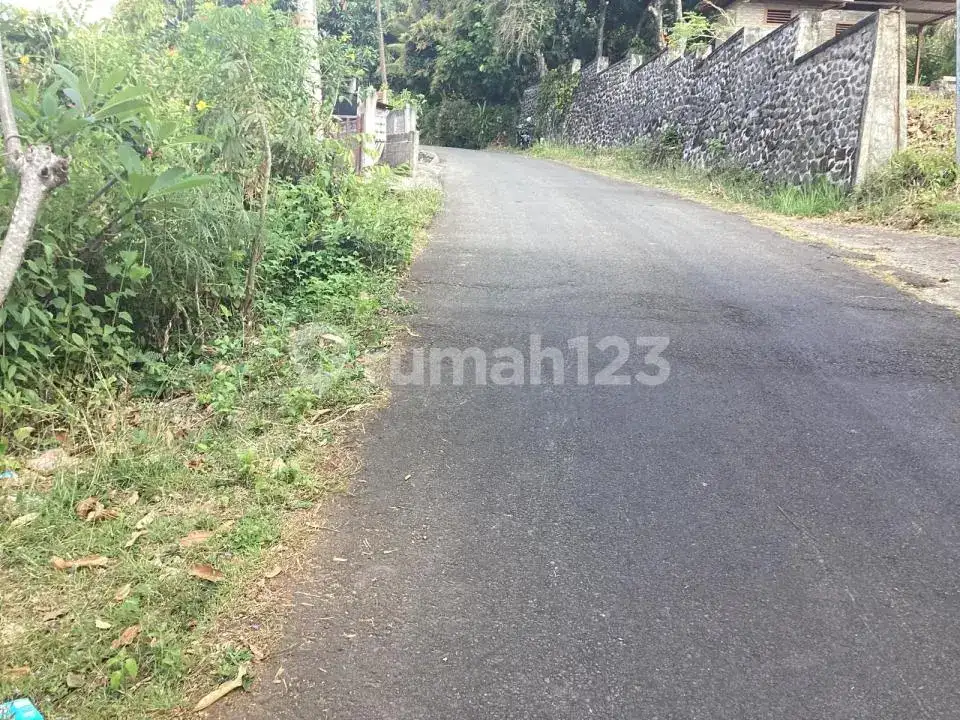 Rumah dengan Tanah Luas dan View Laut di Kayuputih Lovina Buleleng Bali