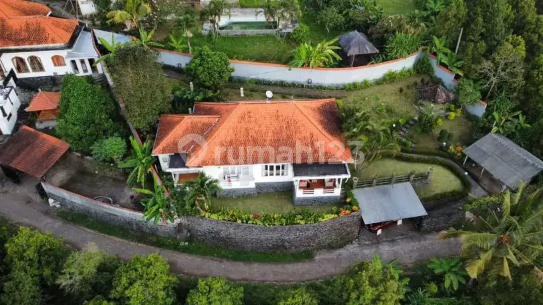 Villa 2 Kamar Tidur dengan Pemandangan Laut di Kayuputih Lovina Buleleng Bali