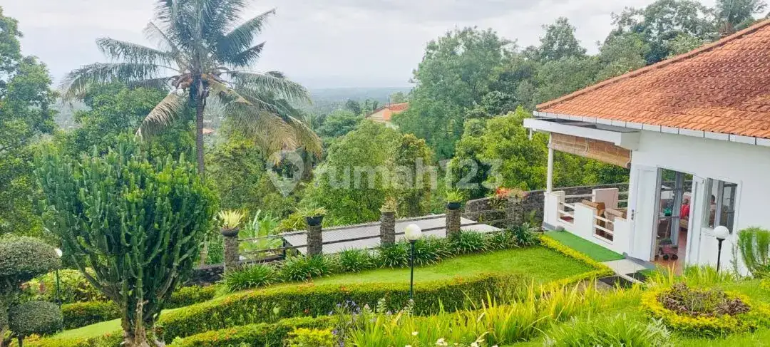 Villa 2 Kamar Tidur dengan Pemandangan Laut di Kayuputih Lovina Buleleng Bali